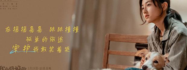 海外如何看《我会好好的》